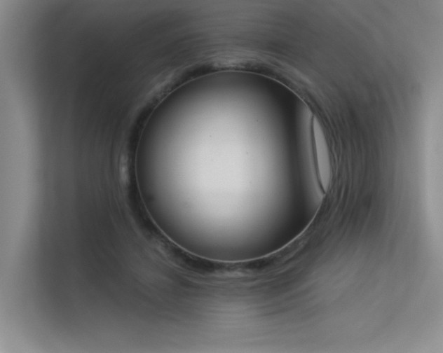 X0000113360452200909151239