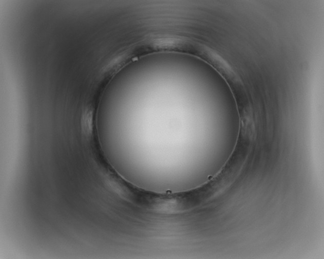 X0000113360454200909151239