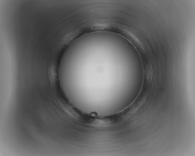 X0000113360455200909151239