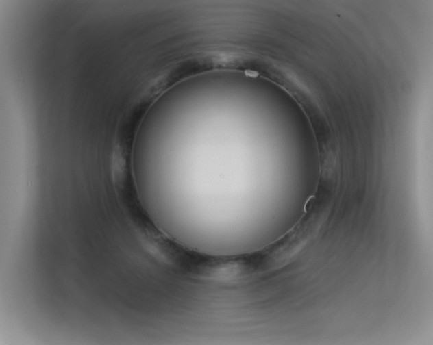X0000113360456200909151239