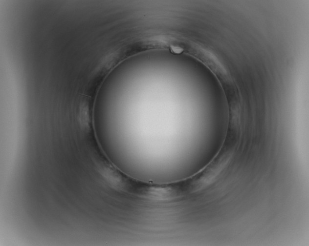 X0000113360457200909151239