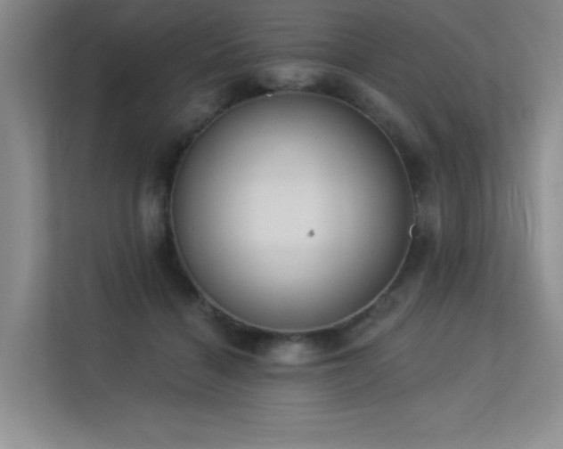 X0000113360460200909151239