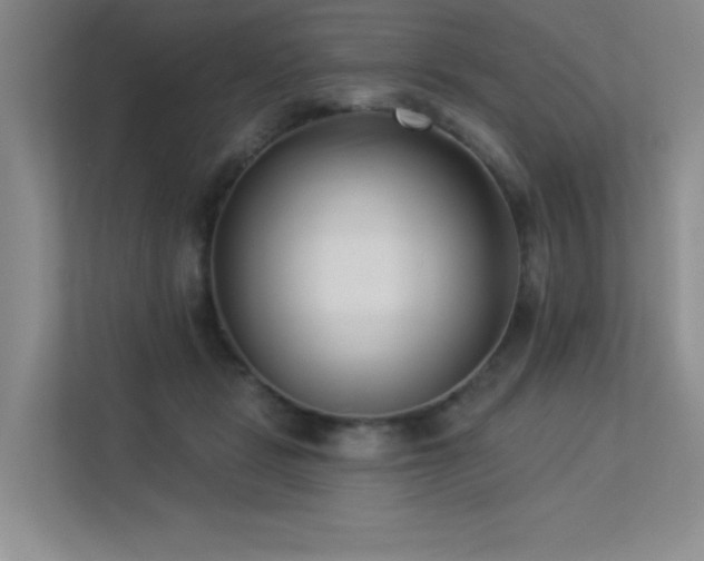 X0000113360461200909151239