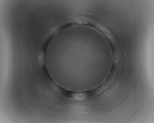 X0000113360465200909151239
