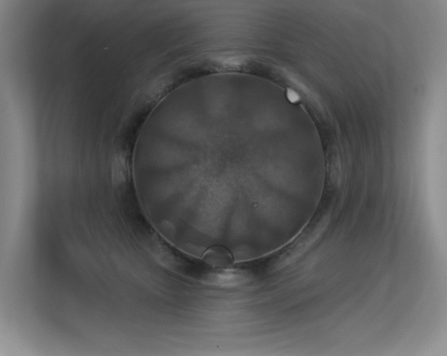 X0000113360467200909151239