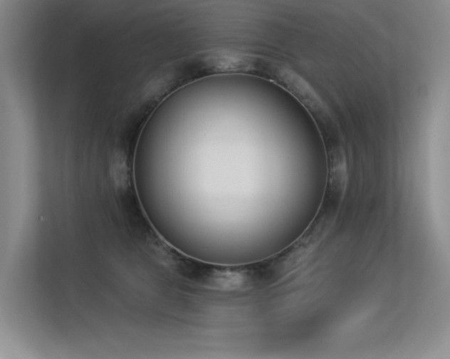 X0000113360469200909151239