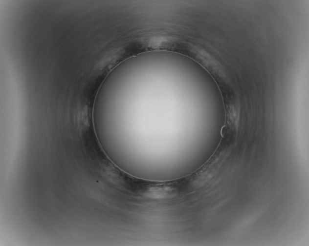 X0000113360470200909151239