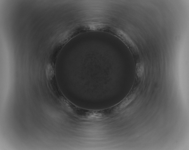 X0000113360471200909151239
