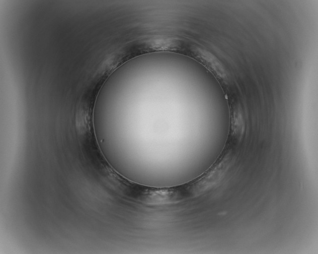 X0000113360473200909151239