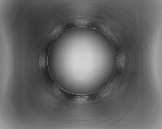 X0000113360474200909151239