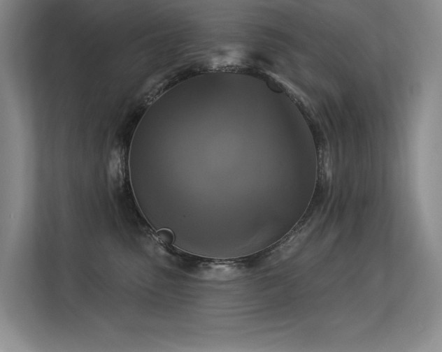 X0000113360475200909151239