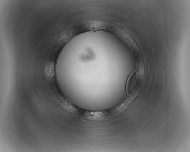X0000113360478200909151239