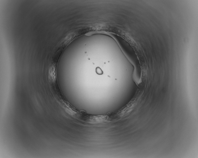 X0000113360479200909151239