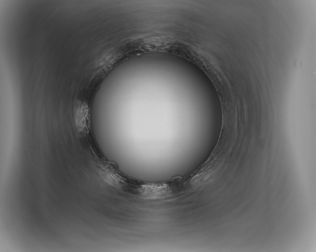 X0000113360480200909151239