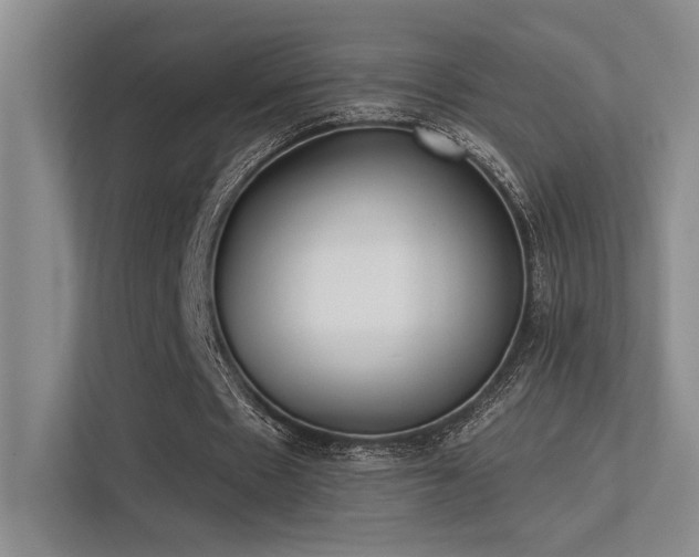 X0000113360481200909151238