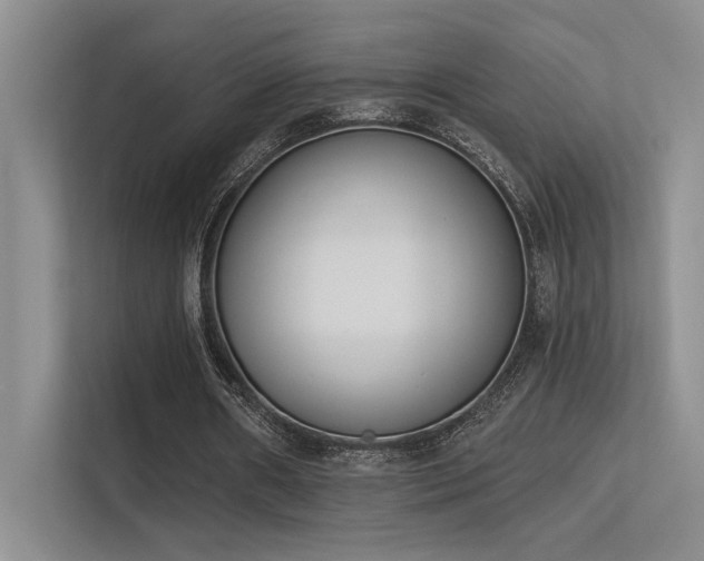 X0000113360482200909151238