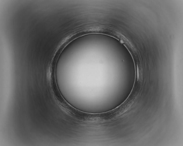 X0000113360483200909151238