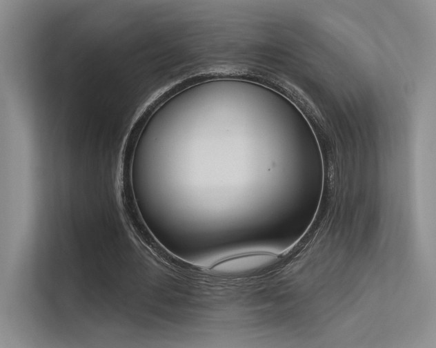 X0000113360484200909151238