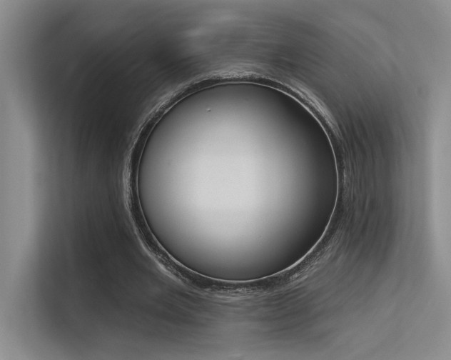 X0000113360485200909151238