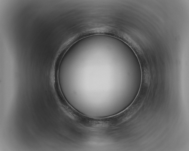 X0000113360486200909151238