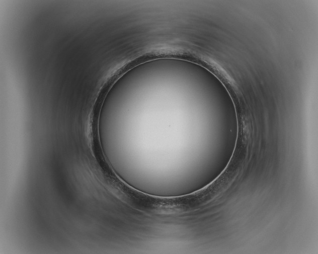 X0000113360487200909151238