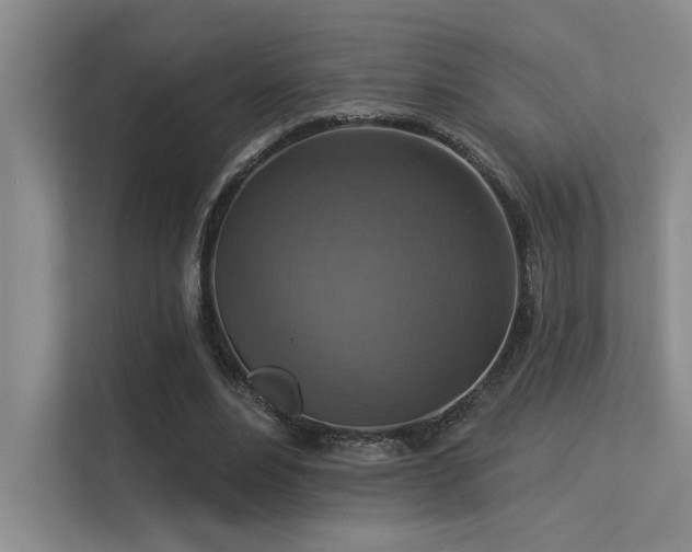 X0000113360488200909151238