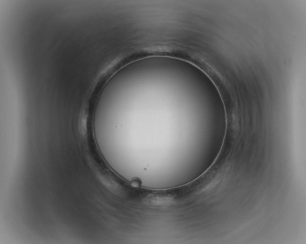 X0000113360491200909151238