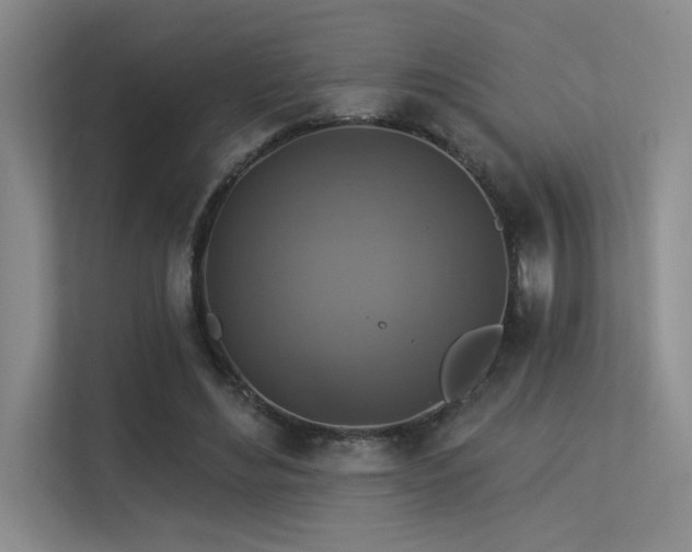 X0000113360492200909151238