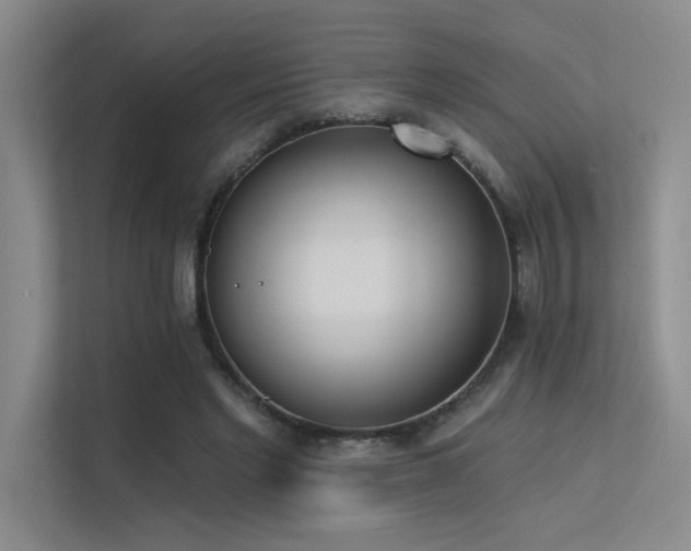 X0000113360493200909151238