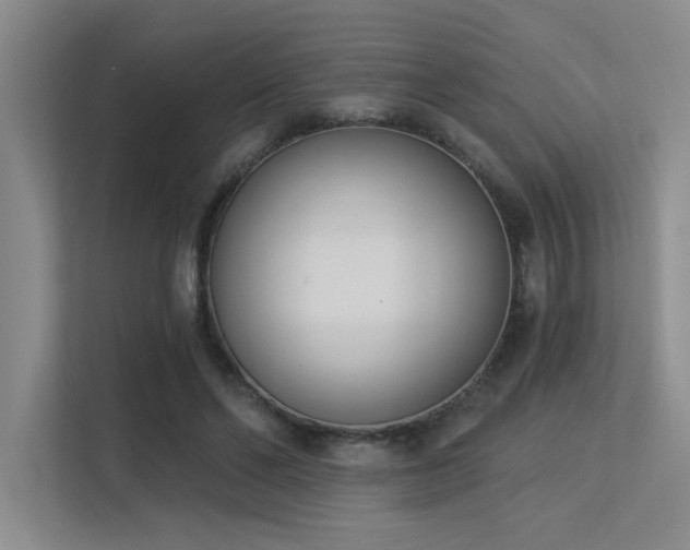 X0000113360494200909151238