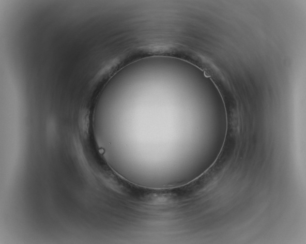 X0000113360495200909151238