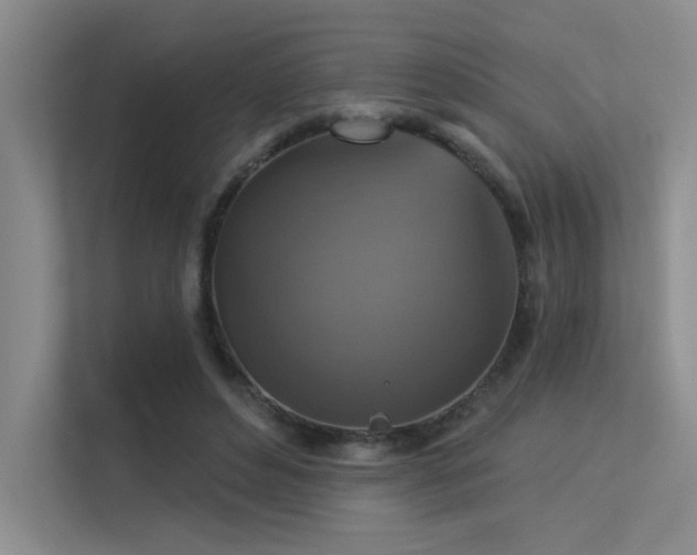 X0000113360496200909151238