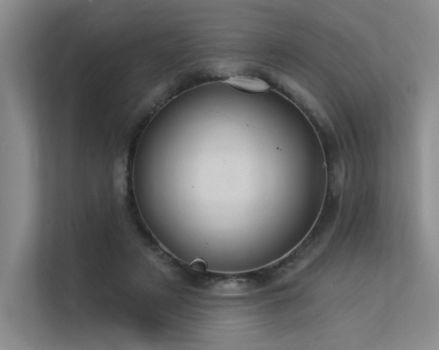X0000113360497200909151238