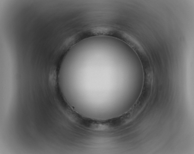 X0000113360498200909151238