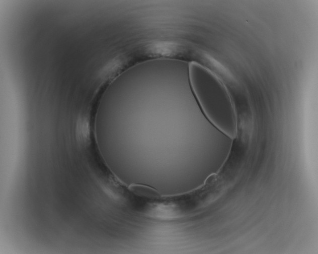 X0000113360500200909151238