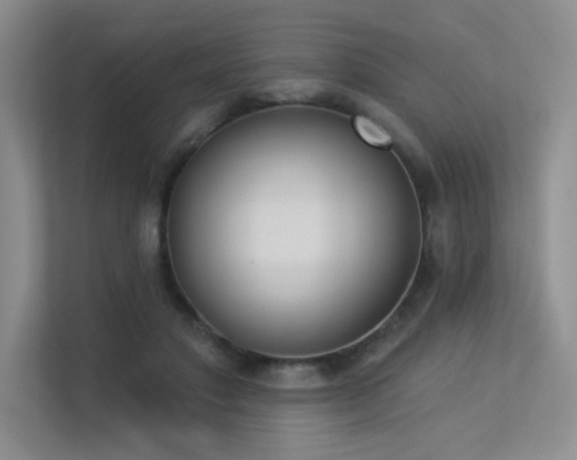 X0000113360501200909151238