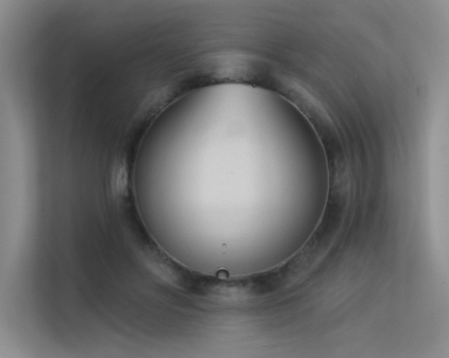 X0000113360502200909151238