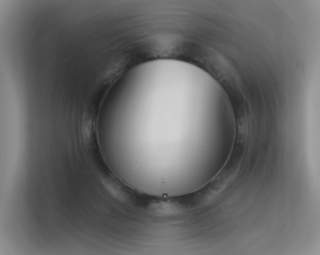 X0000113360503200909151238
