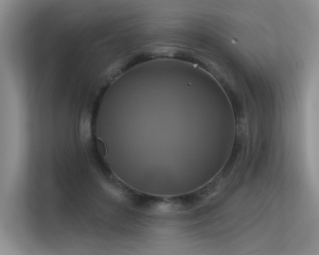X0000113360504200909151238