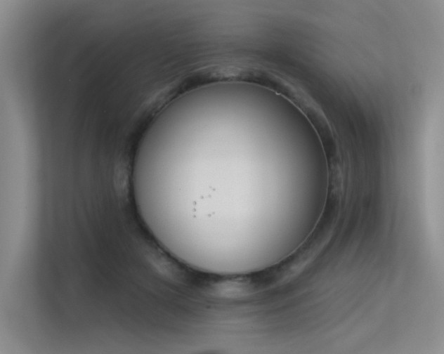 X0000113360505200909151238