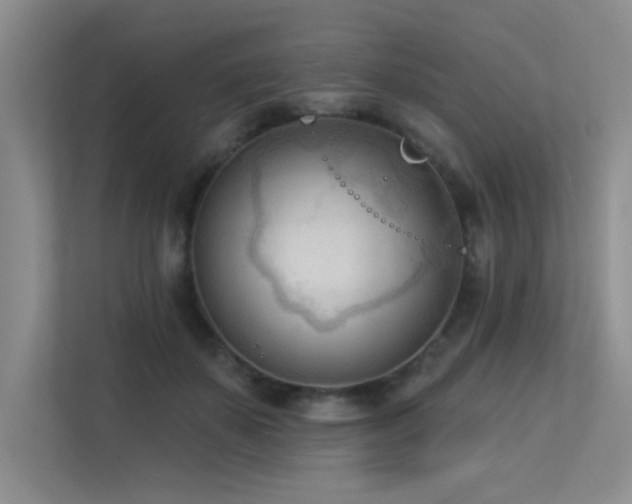X0000113360507200909151238