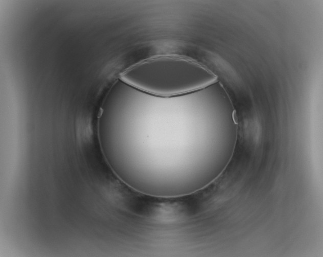 X0000113360508200909151238