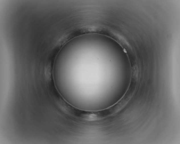 X0000113360509200909151238