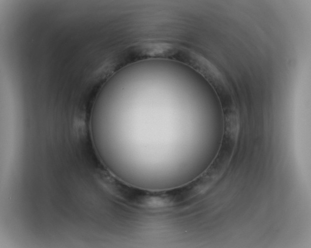 X0000113360510200909151238