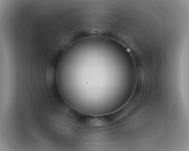 X0000113360511200909151238