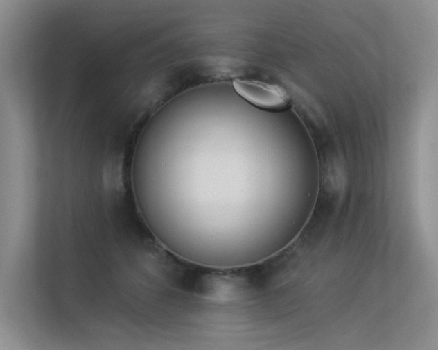 X0000113360512200909151238