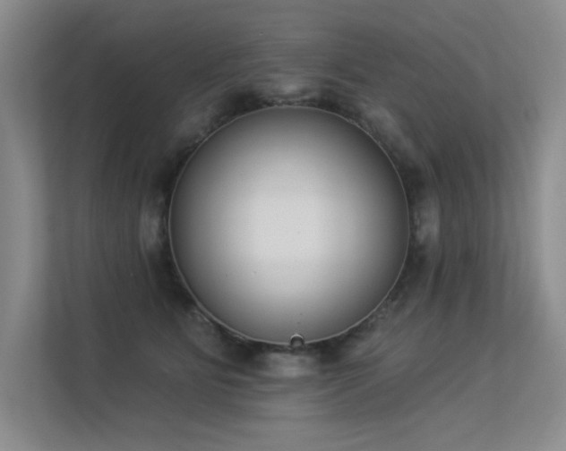 X0000113360515200909151238