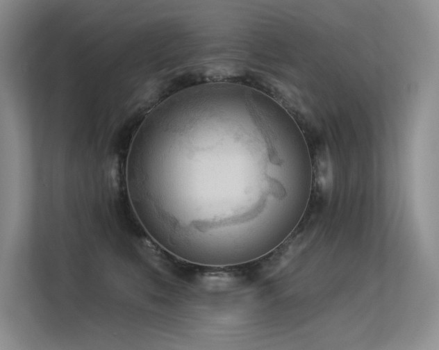 X0000113360519200909151238