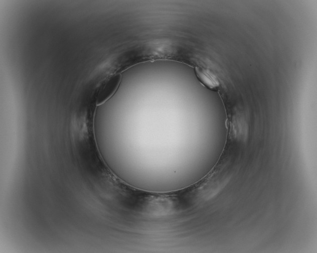 X0000113360520200909151238