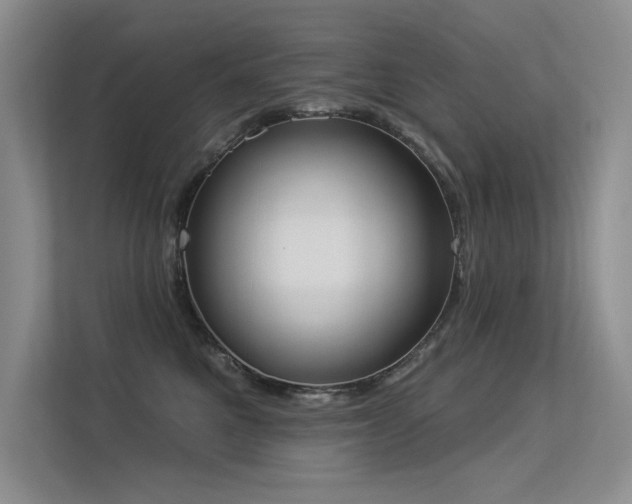 X0000113360521200909151238